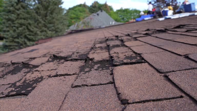 Professional Roofing Services in La Honda, CA