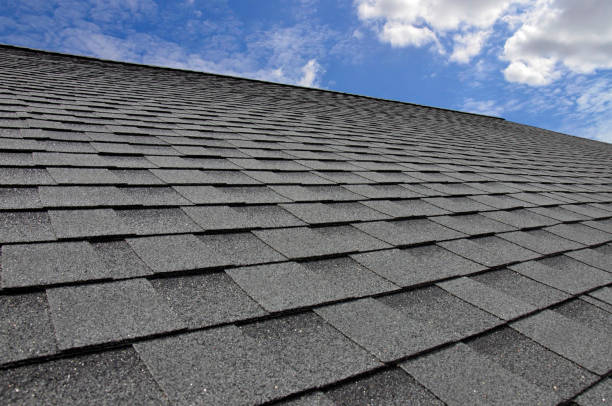 Best Solar Panel Roofing Installation  in La Honda, CA